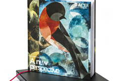 A New Perspective book