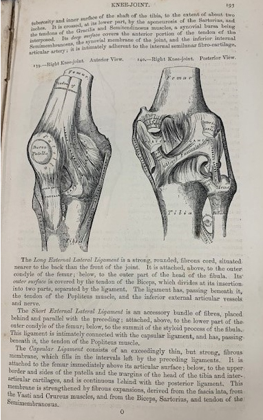  page of book showing anatomical drawing of knee joint