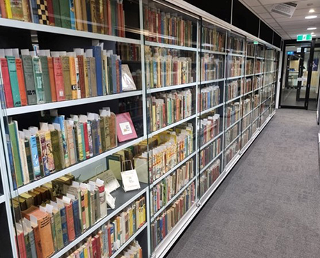  books from the Nolan children's collection on shelves in a library