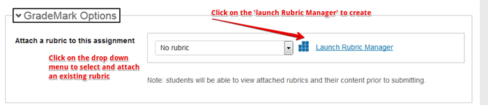 Launch rubric manager